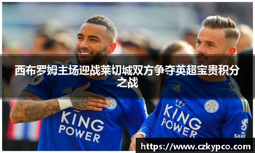 西布罗姆主场迎战莱切城双方争夺英超宝贵积分之战